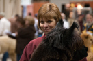 Alpaca Jubilee